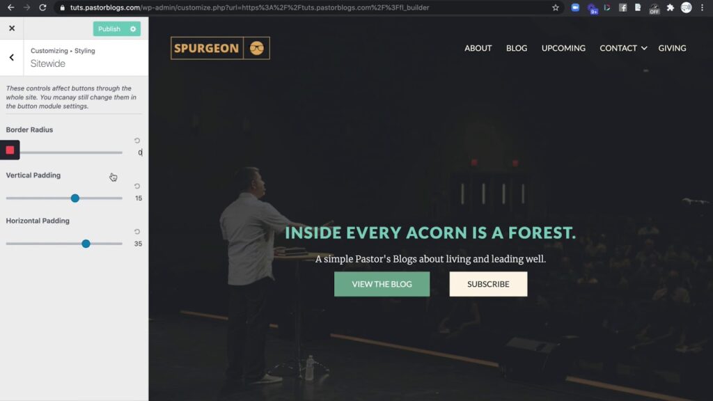 Styling Pt 1  –  Styling Tab