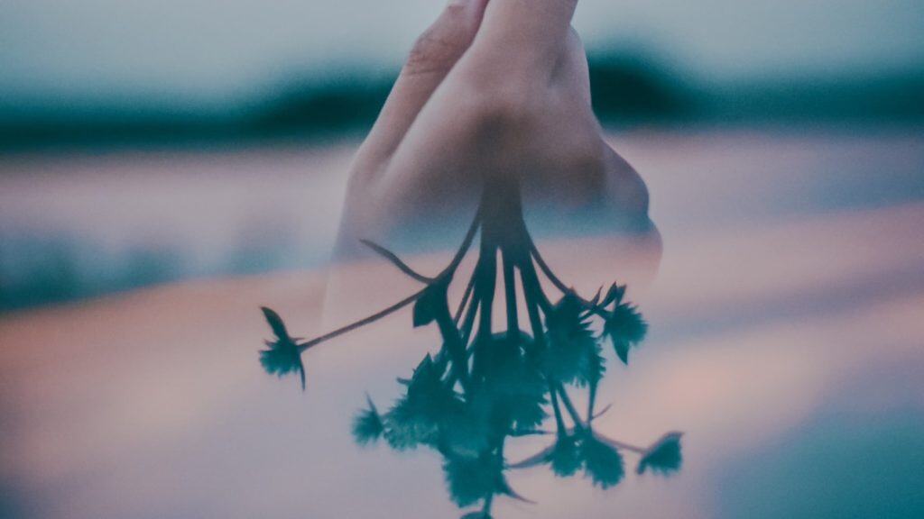 Hand holding wildflowers silhouette at sunset, artistic moody nature photo